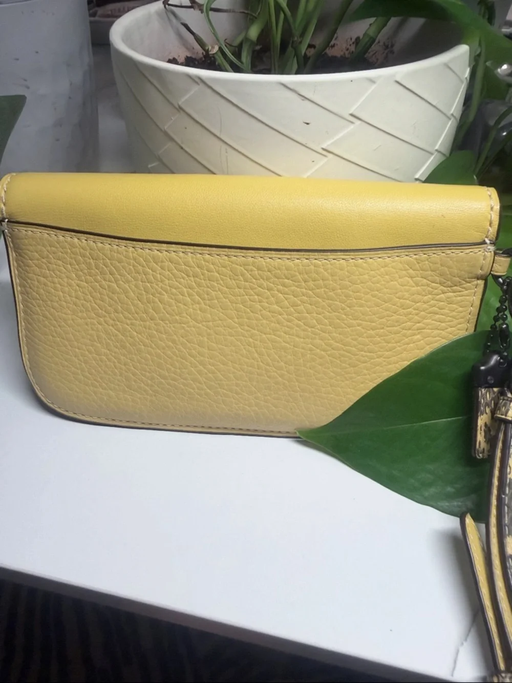 COACH HAY YELLOW/COLORBLOCK EXOTIC SNAKESKIN CLUTCH - Picture 4 of 8
